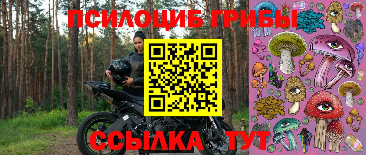 Галлюциногенные грибы GOLDEN TEACHER Кировск