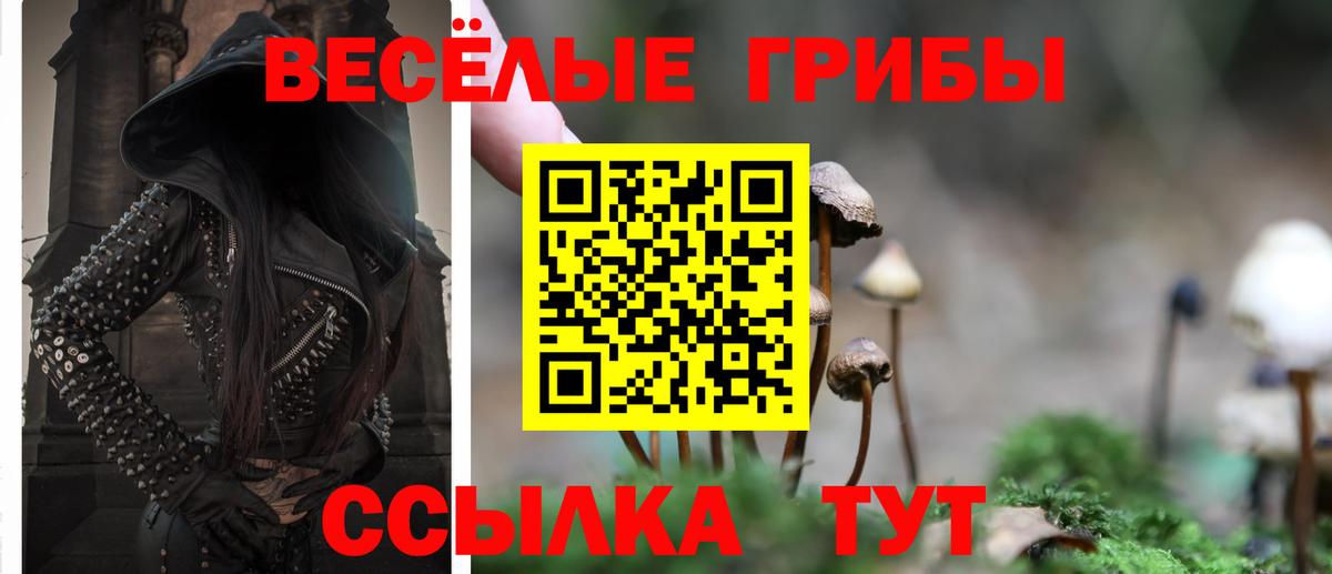 Кировск  Псилоцибиновые грибы мухоморы  Вход с VPN 